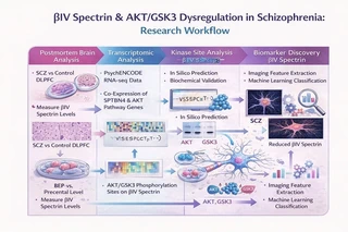 βIV Spectrin & AKT/GSK3 Multimodal Workflow