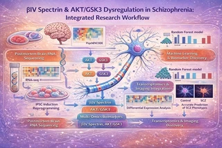 Schizophrenia βIV Spectrin Multi-Omics Landscape